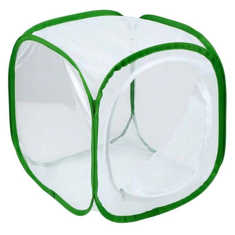 Insect and Butterfly Habitat Cage Terrarium Pop-up 12 x 12 x 12 Inches (Whi Z9H2