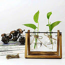 Creative bulb vase plant glass hydroponic container farm decoration wooden  B2M7