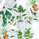 45pcs green leaves tree life plants DIY Diary Craft Stickers Scrapbooking decoï¼W