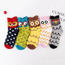 5 Pair Women Cotton Socks Creative Cartoon Autumn Winter Mid-calf Stockings