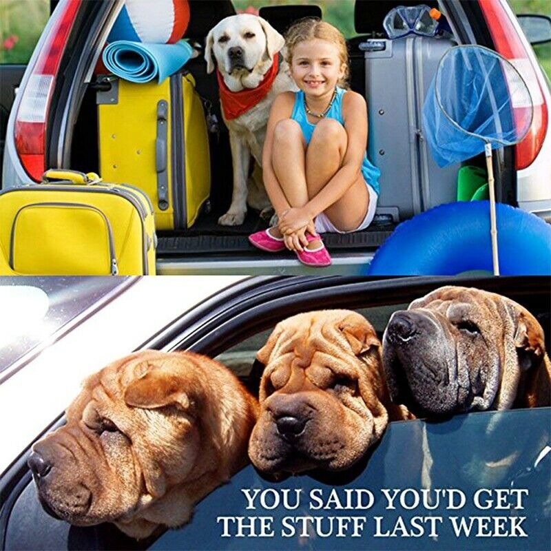 4 Packs Adjustable Pet Car Seat Belt Strap Dog Vehicle Seatbelt Harness Saf L2O4