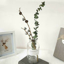 10pcs Natural Dried Flower Eucalyptus Branches Leaves Bouquet Home Decor Tool