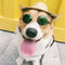 Lovely Dog Cat Glasses Pet Eye Protection Sunglasses Photos Props (Green) A