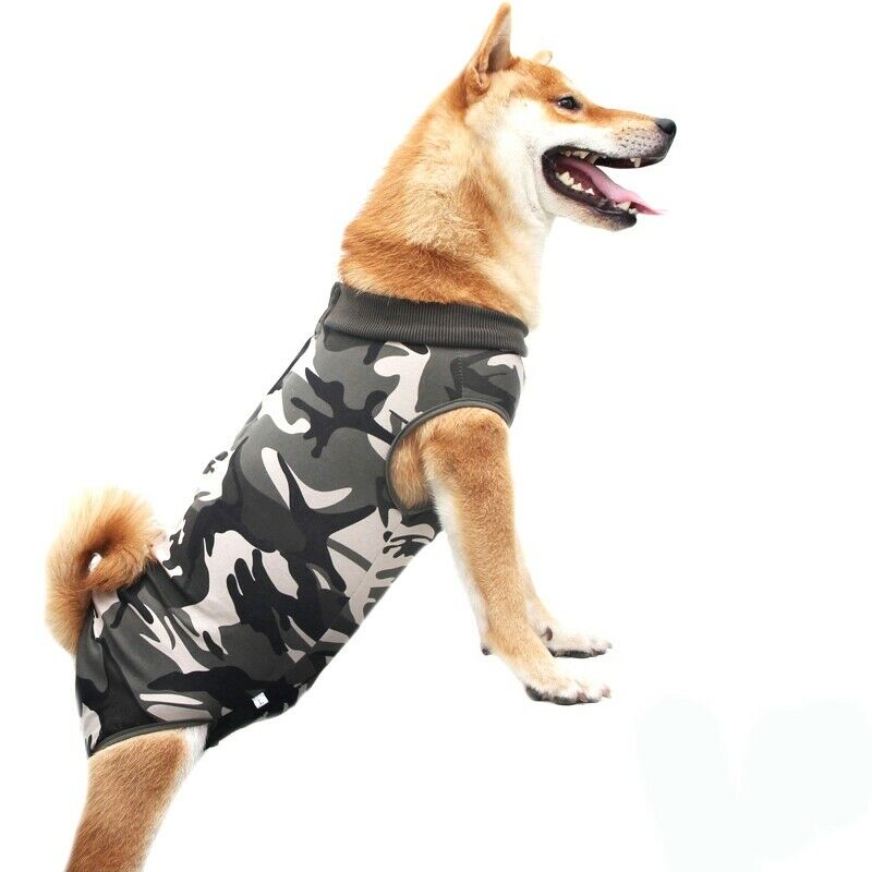 Recovery Suit Dog Puppy Medical Care Suit Clothing and After Surgery Wear A