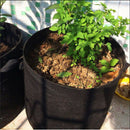 5 Pieces Black Fabric Grow Pots Breathable Plant Bags Smart Plant 1 Gallon