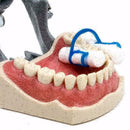 20Pcs Cotton Roll Holder Clip Disposable Dental Isolator Hot Clinic Tool Bl Z3P8