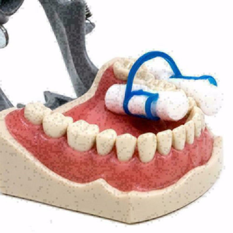 20Pcs Cotton Roll Holder Clip Disposable Dental Isolator Hot Clinic Tool Bl Z3P8