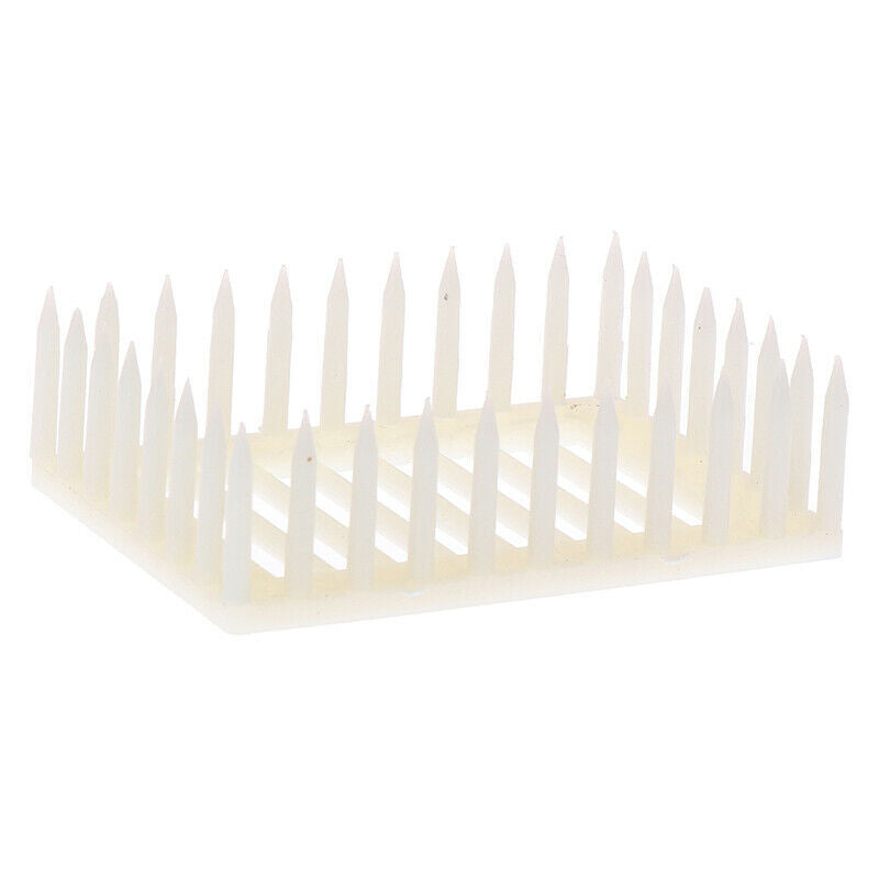 Plastic Queen Marker Cage Clip Bee Catcher Beekeeper Beekeeping Tools Equipm  OZ
