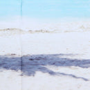 Vinyl Background Photography Palm Tree Beach Sunshine Studio Backdrop Prop L9V8