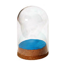4pcs Mini Clear Glass Dome Shade Cover with Wooden Cork Home Wedding Decor