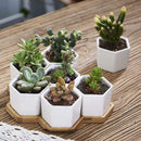 Planter Pots Indoor, 7 Pack 2.75 Inch Modern White Ceramic Small Hex Succul