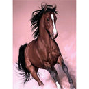 5D DIY Diamond Painting Full Drill Mosaic Kit Horse Cross Stitch (T355)