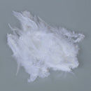 50 St. dyed rooster feathers for decoration 10 -15 cm - white