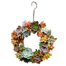 Rustic Iron Wire Wreath Frame Succulent Pot Hanging Planter Plant Holders