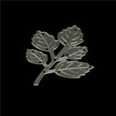 1pc Delicate leaf  Metal Cutting Dies DIY Scrapbooking Paper Cards Crafts tbTOCA