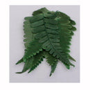 20pcs Handmade Pressed Dried Flowers Plant Leaves for DIY Phone Case Crafts