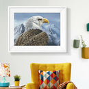 5D DIY Full Drill Diamond Painting Eagle Cross Stitch Embroidery (C1201)