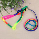 Pet Puppy Matching Nylon Harness Collar & Lead Set Leash Adjustable Rainbow