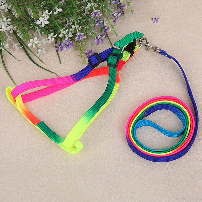 Pet Puppy Matching Nylon Harness Collar & Lead Set Leash Adjustable Rainbow