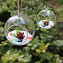 Hanging Glass Flower Vase Bottle Hydroponic Terrarium Container Decor - 15c