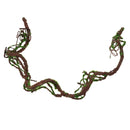 Repitals Climbing Jungle Vine Natural Habitat Decor for  Geckos M