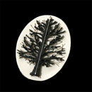 Fondant Silicone Molds Tree Cake Decor Tools Chocolate Soap Scrapbook Mould OZ