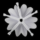 48 pcs Fan White Paper Deco Decoration Wedding Party Gift for the Guests An R8Z3