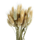 20X Natural Dried Small Pampas Grass Phragmites Communis,Wedding Flower Bunch AU