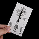 Leaf Tree Temporary Tattoos Body Arm Leg Waterproof Flash Tattoo Stickers C8