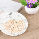 Sea Shell Perles naturel en vrac Accessoires pour Fish Tank Decor Craft J 3C