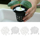 Set 100PCS Soilless Hydroponic Vegetable Sponge Plant Cultivation Spones, 2