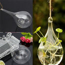 Glass Hanging Vase Flower Plant Container Pot Wedding Decor Tea Light Holder  Ew