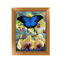 5D Butterfly Diamond Embroidery Painting Cross Stitch DIY Wall Decor
