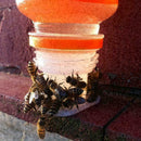 New Bee Drinking Fountain Bee Insects Queen Bee Water C5J5 Equipment Feedin F6T6