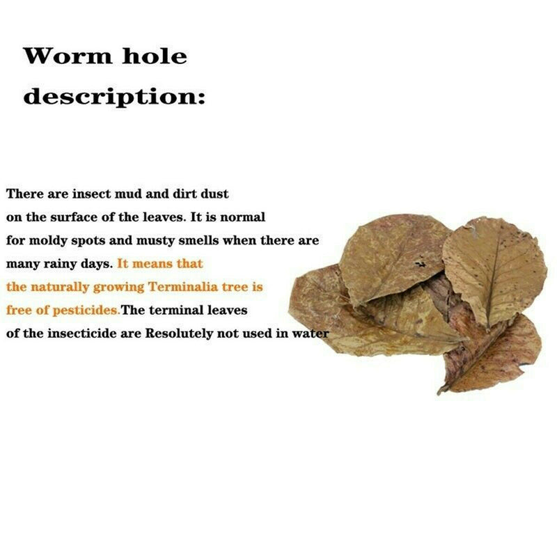 10pcs Natural Almond Leaves Shrimp Fish Aquarium Care Make Water Decor Supply