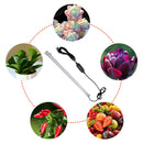 For Indoor Plants 3 Colors Flower Seedling LED Grow Light Auto On Off With Timer