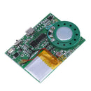 Programmable Sound Chip Voice Chip Music Board Module for Greeting Card DIY
