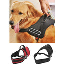 Adjustable Safety Car Seat Belt Sports Walking Pet Dog Chest Harness Set Red M
