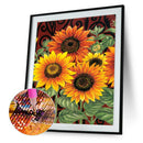 5D DIY Full Round Drill Diamond Painting Flowers Art Embroidery Kits (B914)