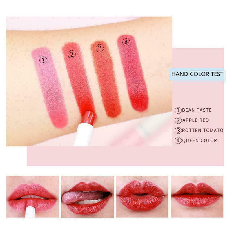 4pcs/Set Make up Lipstick Set Matte Velvet long-lasting Pipe Creative Lipst T1N0