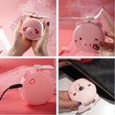 Mini Portable LED Fill Light Makeup Mirror with Handheld Fan USB Rechargeable