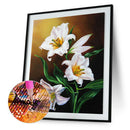 5D DIY Full Drill Diamond Painting Flower Rhinestone Cross Stitch (B855)