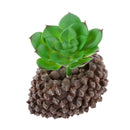 Artificial Foliage Succulent Water Lily Plant Wedding Vivid Decor