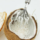 Coconut Shaver Stainless Steel Kitchen Fruit Tool Fish Skin Scale Scraper P Jf