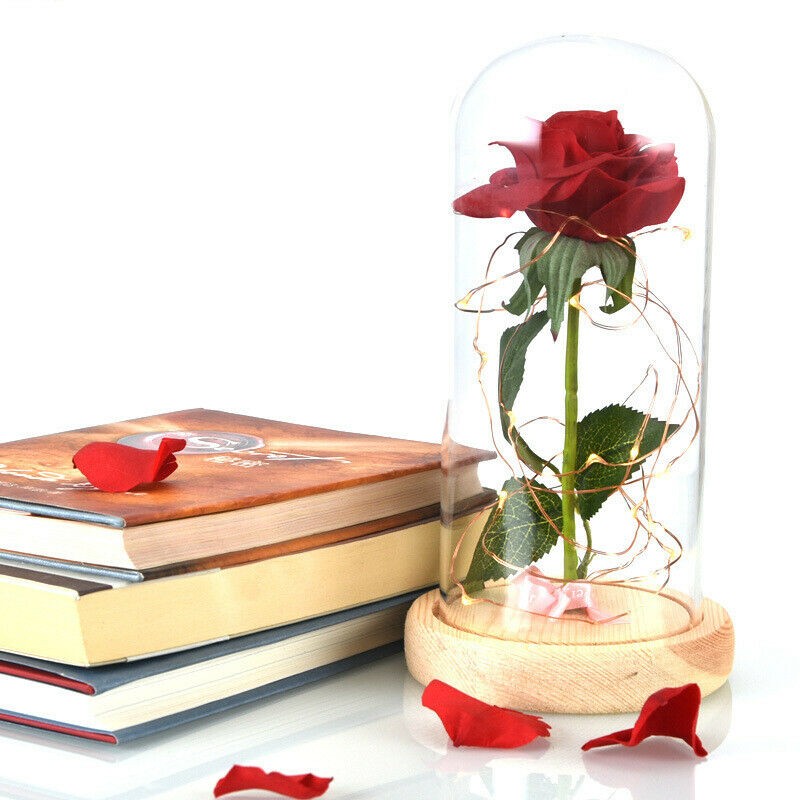 Eternal Rose Flower Red Silk Rose and LED Light with Fallen Petals in Glass K7T8