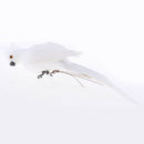 5Pcs Lifelike Macaw Parrot Artificial Feathered Bird Statue for Home Outdoor