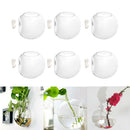 Pack of 6 Clear Glass Air Plant Pots Hydroponic Terrariums Wall Hanging Plants