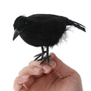 Simulate Raven Feather Artificial Crow Prop Halloween Bird Realistic Pa OZ