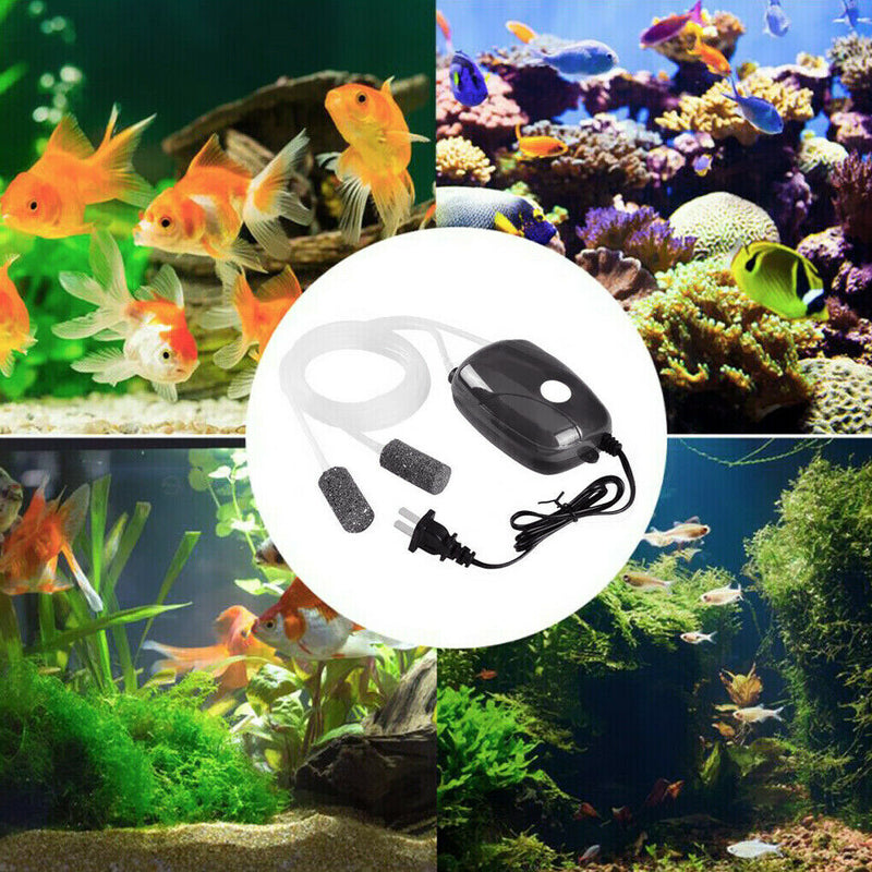 5W Air Bubble Disc Dual Stone Aquarium Fish Tank Oxygen Pump Thermometer + Tube