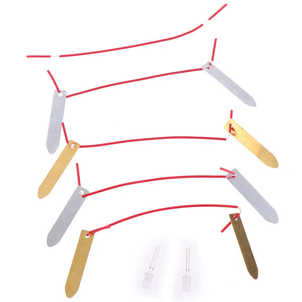 1 Set Children Bio Energy Science Kit Fruit Supply Electricity Experiments T -Q